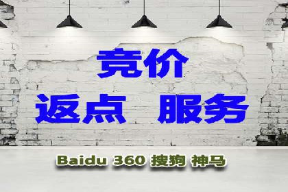 竞价托管服务对比：不同平台的优劣分析